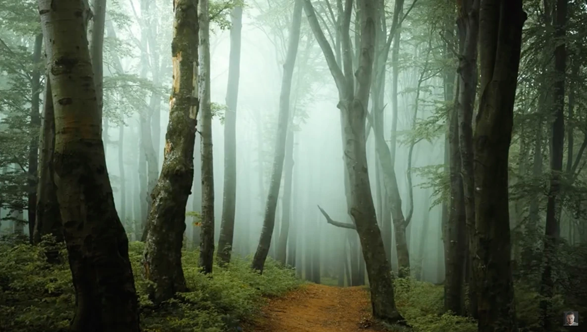 Watch 12 Tips and Ideas on How to Photograph Spring Landscapes on YouTube.