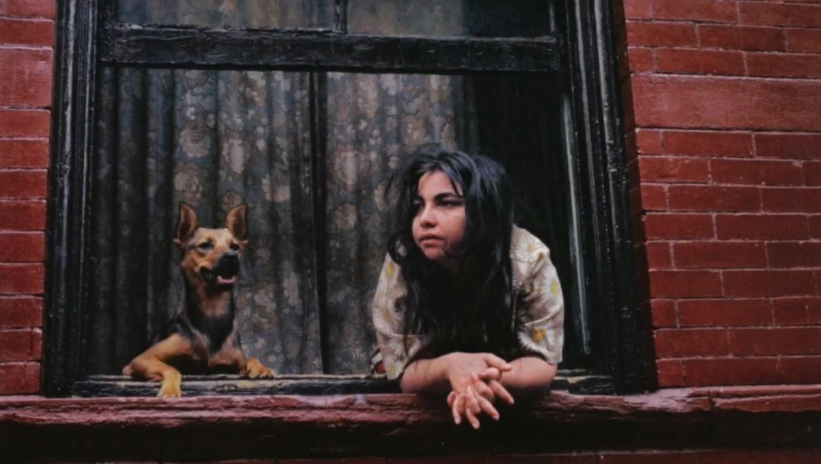 Watch Helen Levitt - The Most Celebrated and Least Known Photographer of Her Time on YouTube.