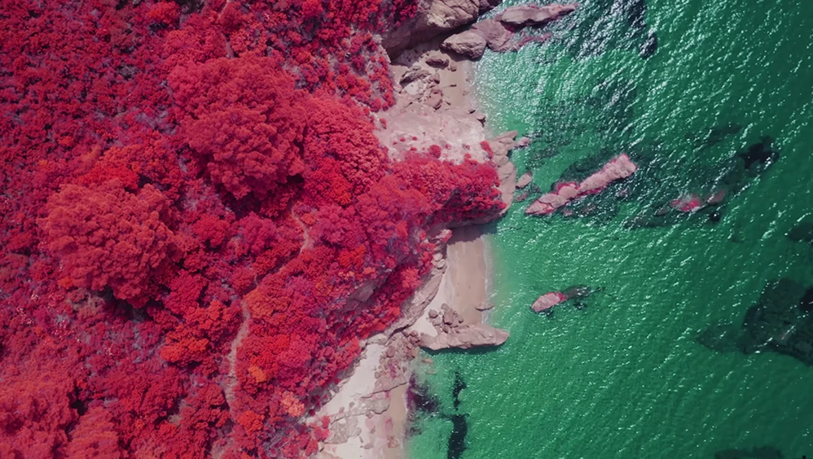 Watch Infrared Mavic 2 Pro on YouTube.