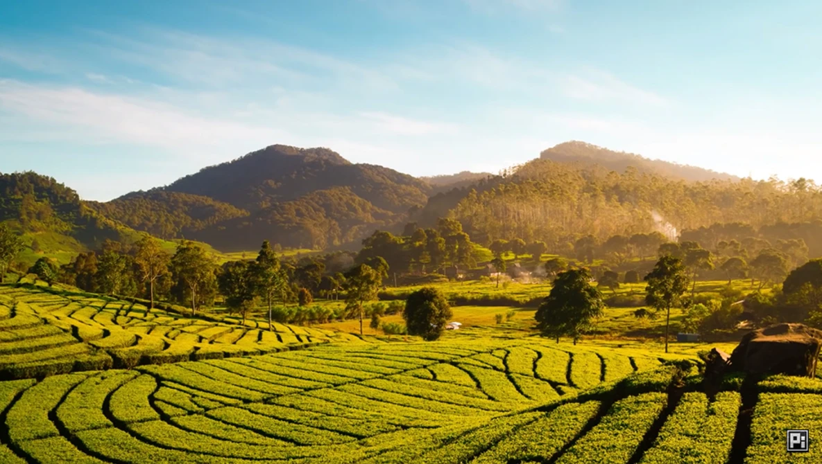 Watch The Science of All 27 Blend Modes in Photoshop! on YouTube.