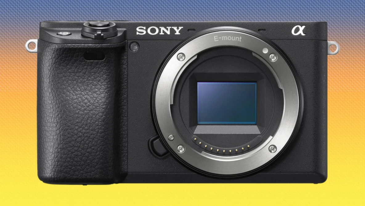 Watch Sony A6400 Animal Eye AF Setup and Demo on YouTube.