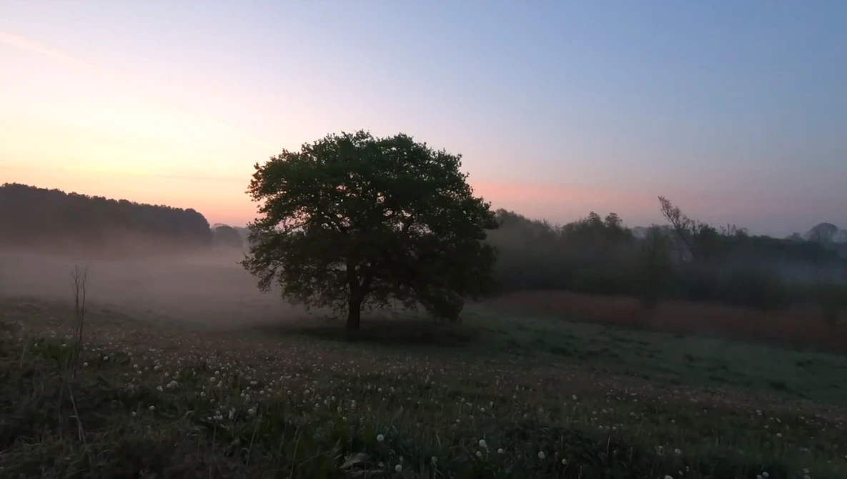 Watch Landscape Photography - When Nothing is Better than Something on YouTube.