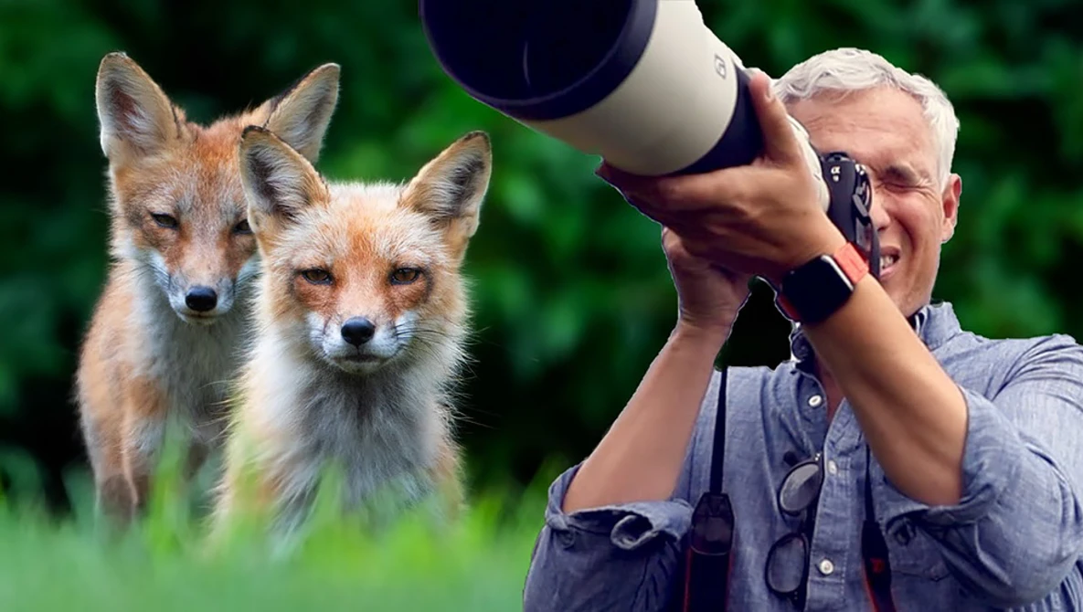 Watch Approach & photograph wildlife (best camera settings!) on YouTube.