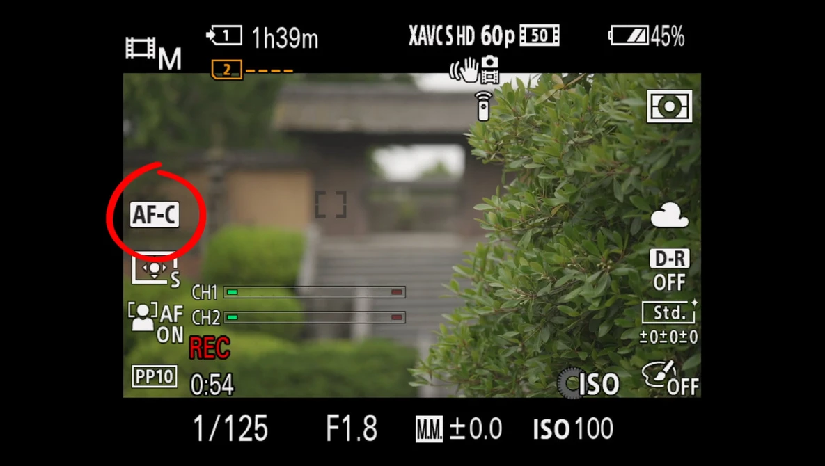 Watch Mastering Sony AutoFocus on YouTube.