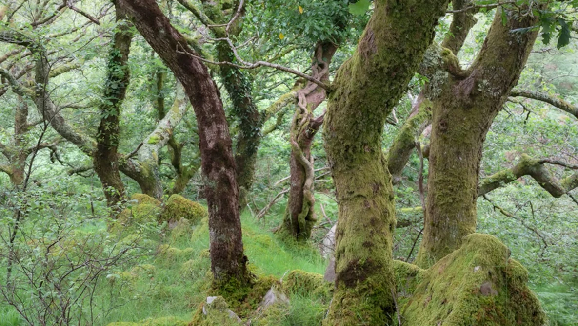 Watch Conditions Don't Make Great Photos - You Do! on YouTube.