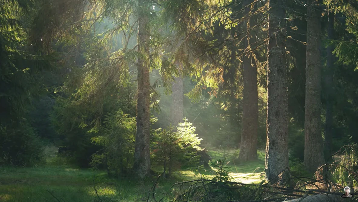 Watch Do You Make These 5 Mistakes in your Landscape Photography? on YouTube.