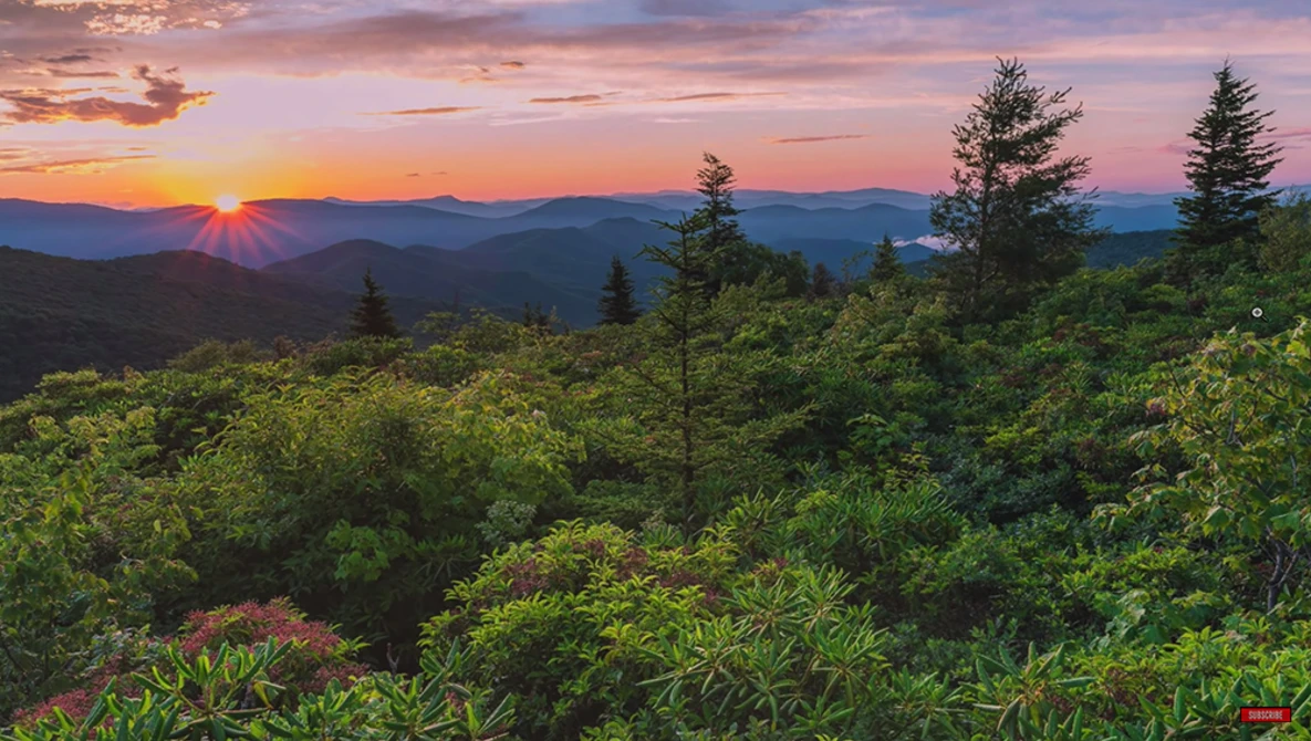 Watch Composition MISTAKES to AVOID in Landscape Photography on YouTube.