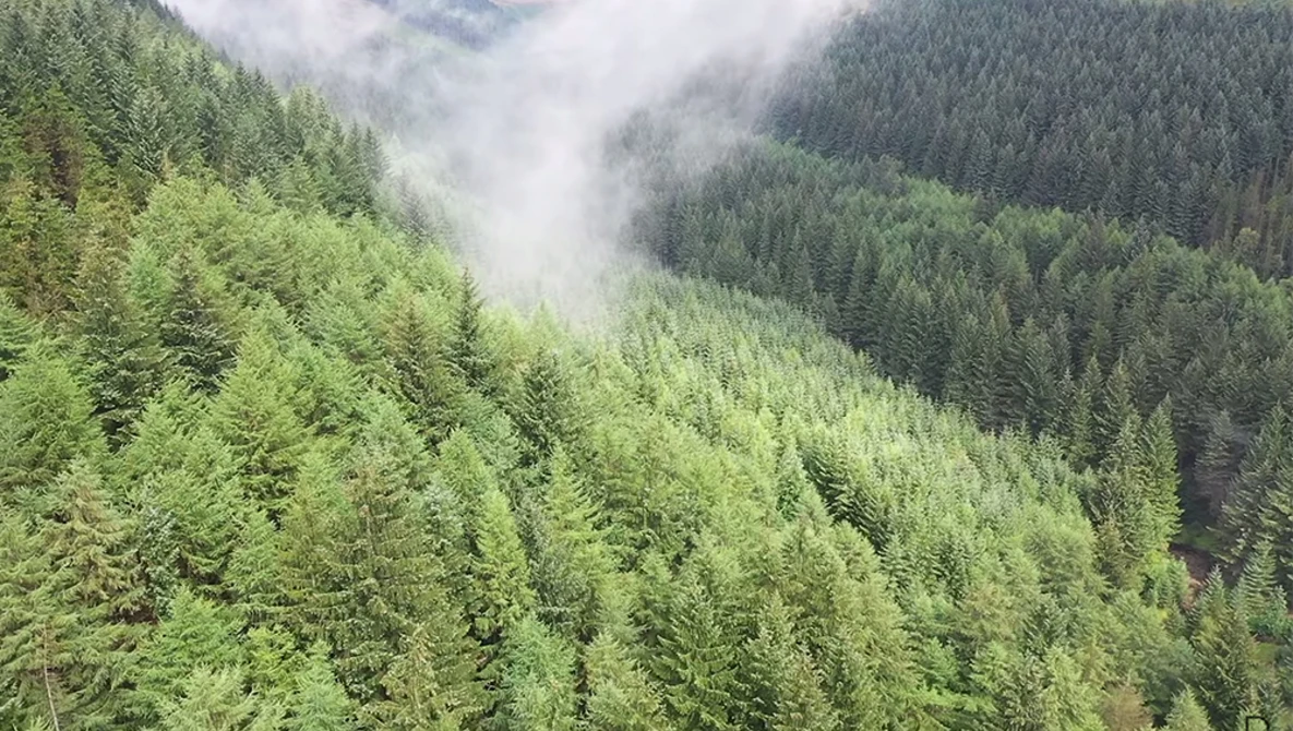 Watch NOISE in your PHOTOS? Does it matter? on YouTube.