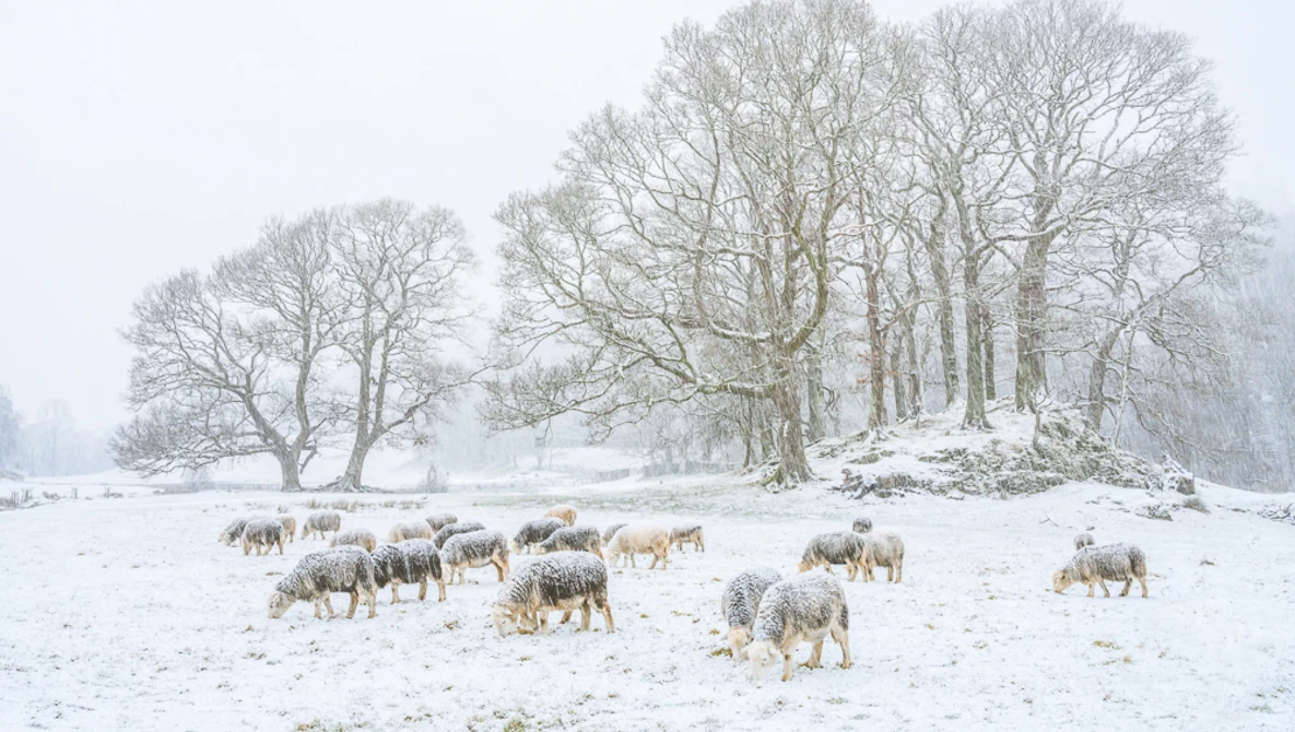 Watch The POWER of COLOUR in LANDSCAPE PHOTOGRAPHY on YouTube.
