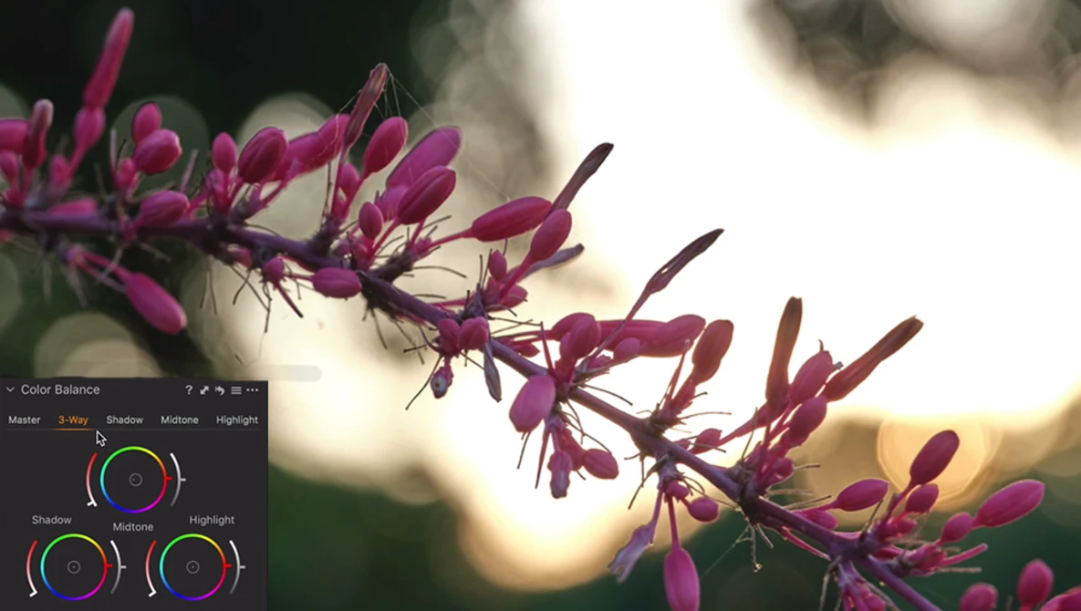 Watch 5 Editing Tools EVERY Photographer Should Know How to Use on YouTube.