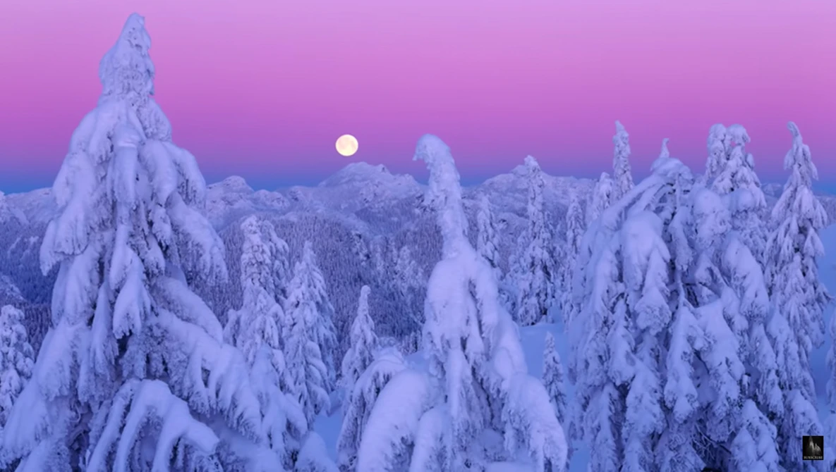 Watch MY 6 or 7 Top LANDSCAPE photography TIPS on YouTube.