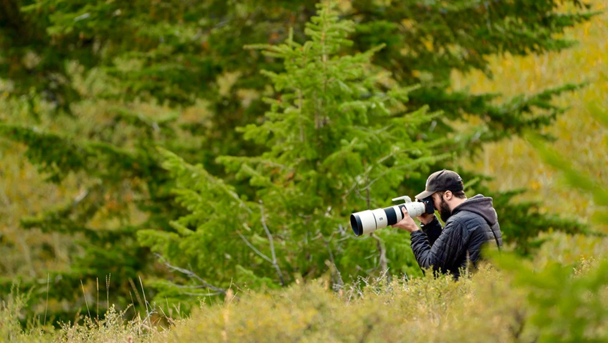 Watch Jackson Hole Wildlife Photography With Sony a7R IV 200-600mm on YouTube.