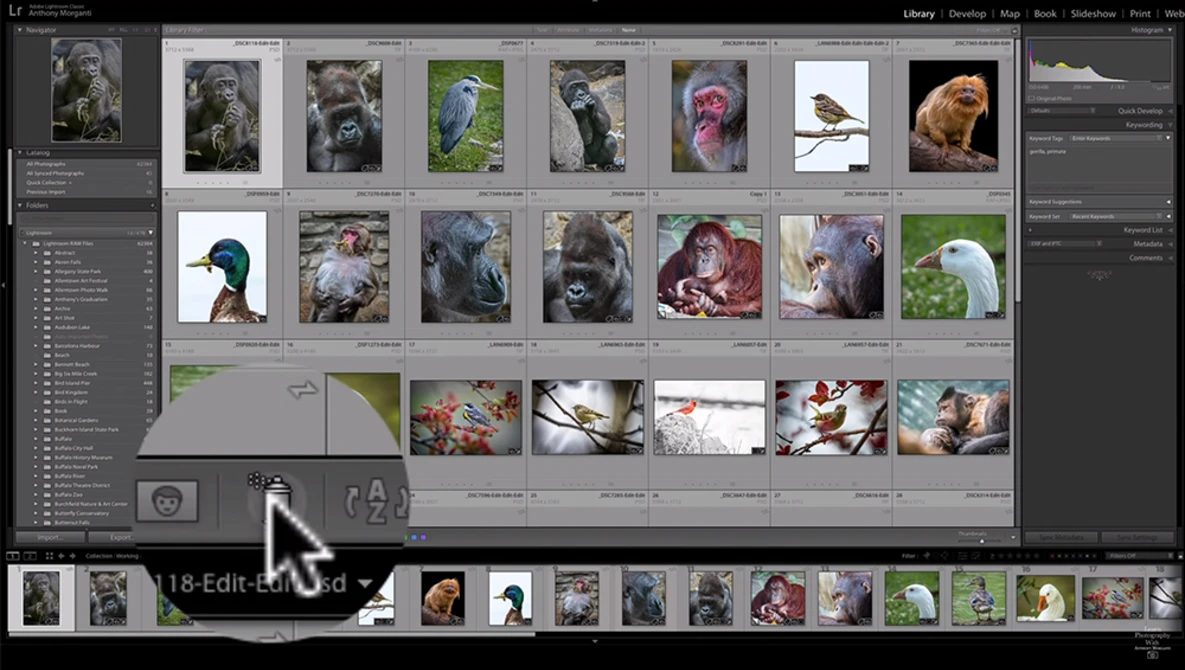 Watch What The HECK is that SPRAY CAN in Lightroom FOR? on YouTube.