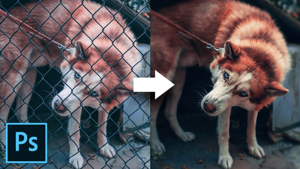 Watch Remove Fence with 3 Simple Steps in Photoshop! on YouTube.