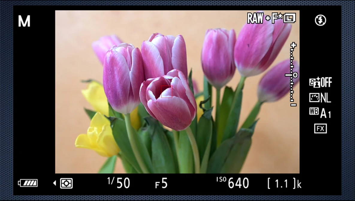 Watch Nikon D780 review - detailed, hands-on, not sponsored on YouTube.