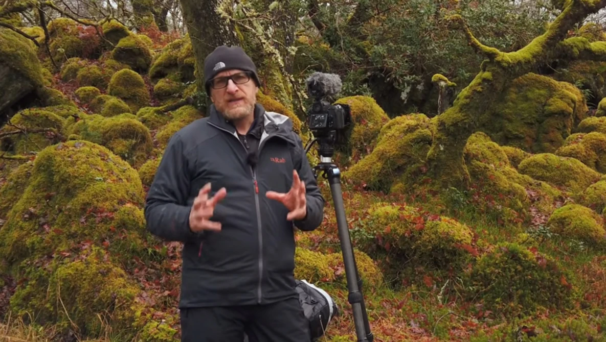 Watch How to Photograph and Process Forests on YouTube.