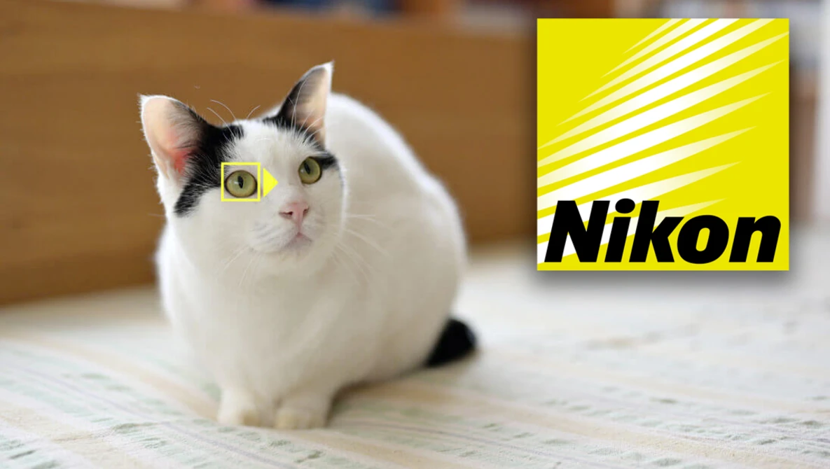 Watch Animal-Detection AF with Nikon Z7 and Z6 on YouTube.