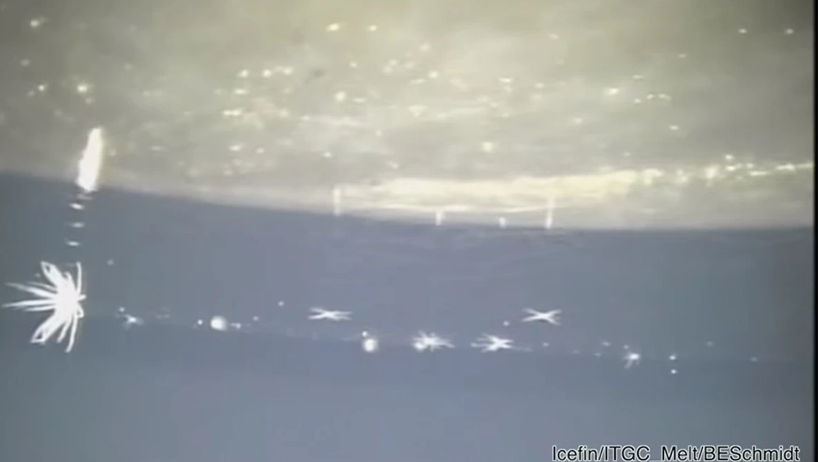 Watch Icefin Robot at Thwaites Glacier grounding zone on YouTube.