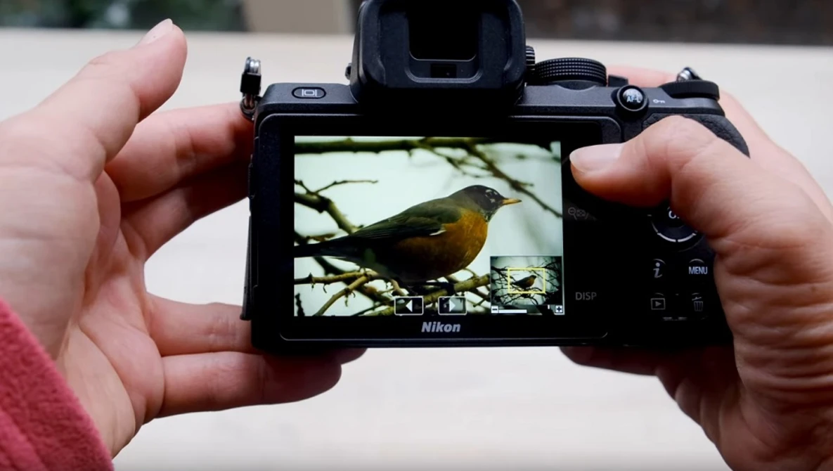 Watch 5 Reasons Why the Nikon Z50 is the Best Mirrorless Camera for Beginners in 2020 on YouTube.