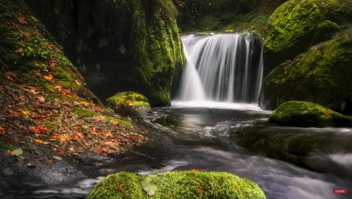 Watch Would You REMOVE IT from YOUR Landscape PHOTO? on YouTube.