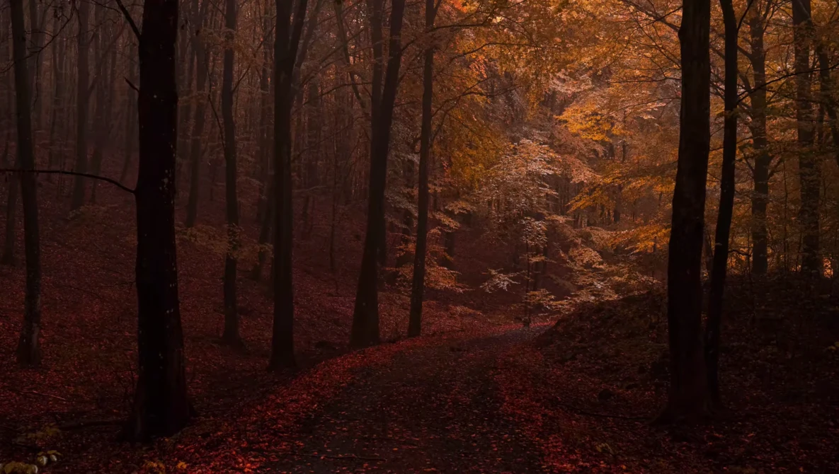 Watch INSANE COLORS & TONES! Unlock In Lightroom Calibration Panel - Editing Tutorial on YouTube.