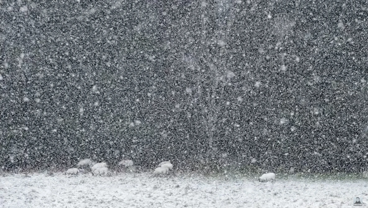 Watch Landscape Photography in Snow Storm on YouTube.