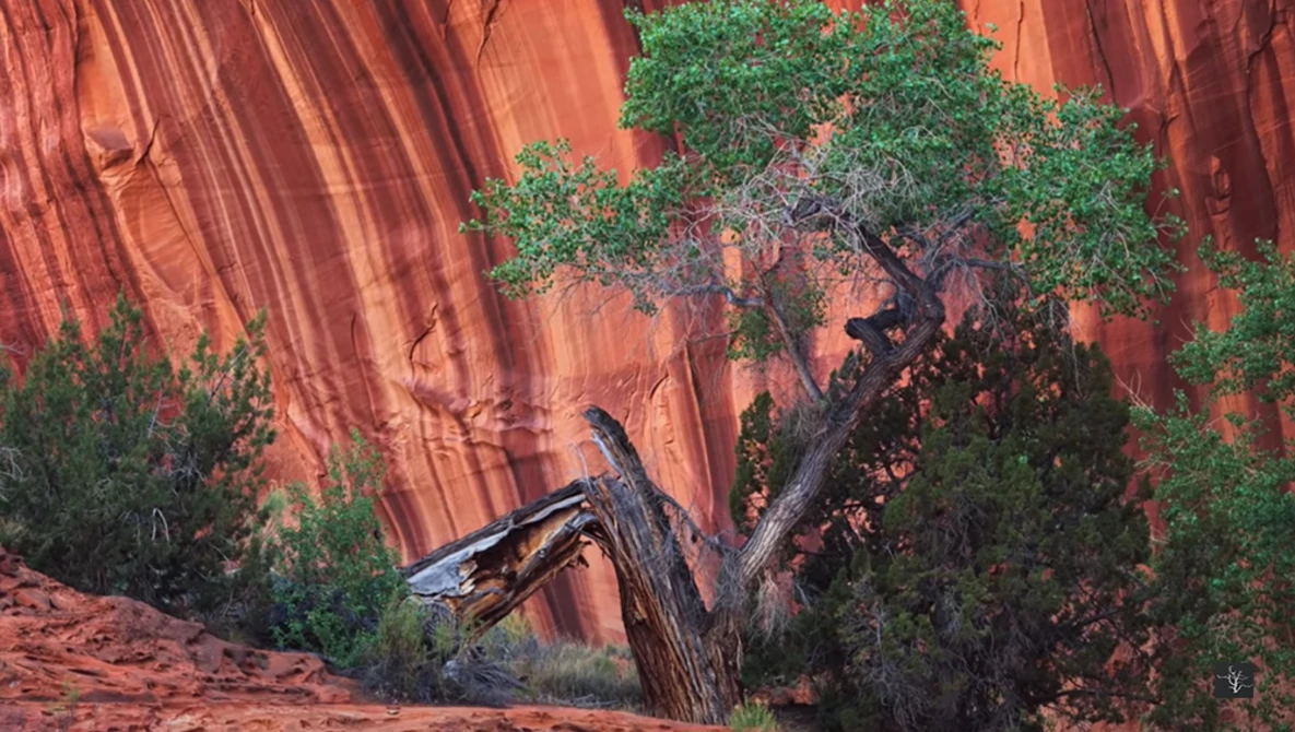 Watch The Photographer's Story - Ben Horne on YouTube.