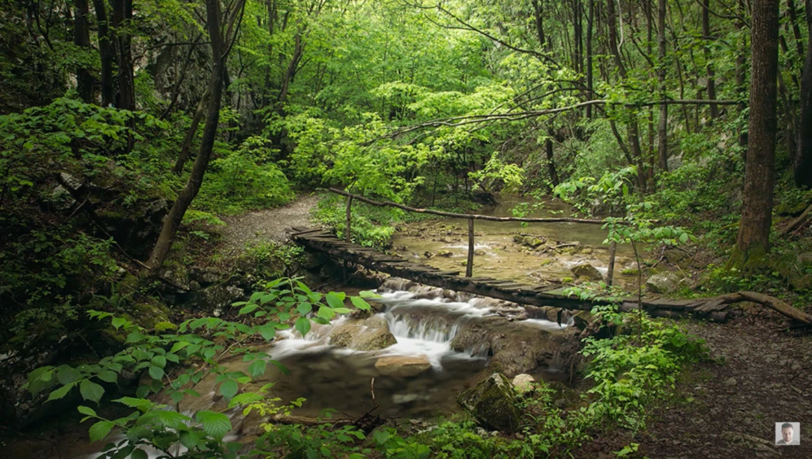 Watch Forest Photography Composition Tips and Ideas on YouTube.