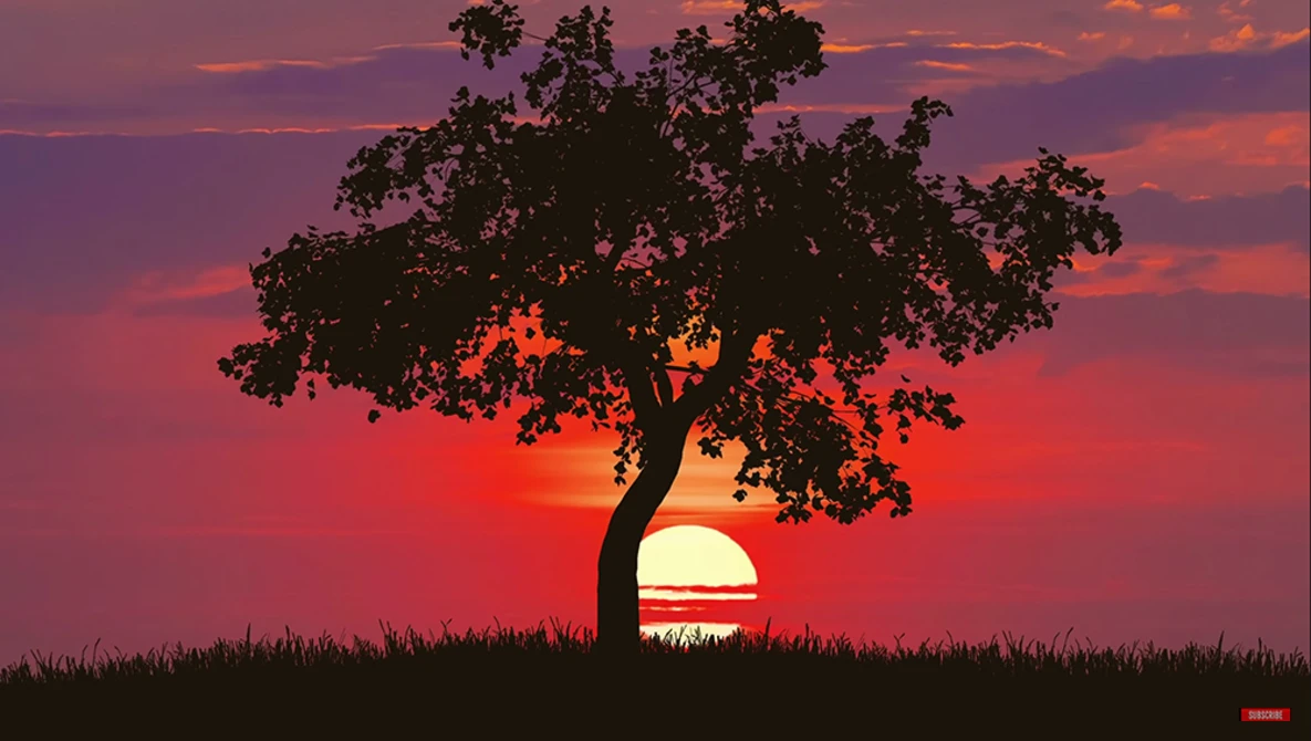 Watch Landscape Photography: The Single MOST Important Thing I've LEARNED!! on YouTube.