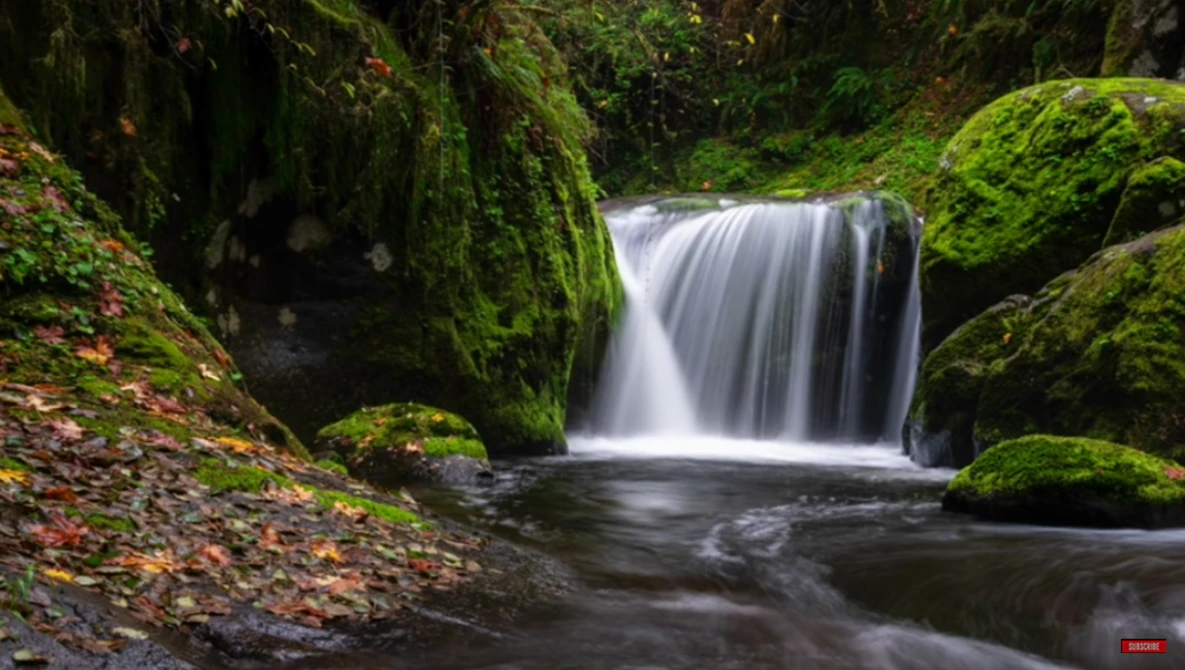 Watch How I Focus Stack MANUALLY for Incredibly SHARP Landscape Photos on YouTube.