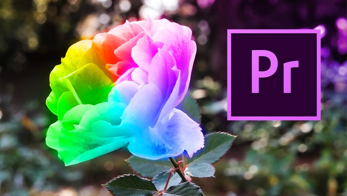 Watch Every Effect in Adobe Premiere Pro CC Demonstrated in 5 Minutes on YouTube.