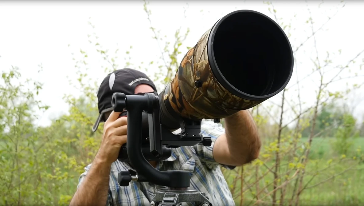 Watch Bird In Flight Photography - Crash Course! on YouTube.
