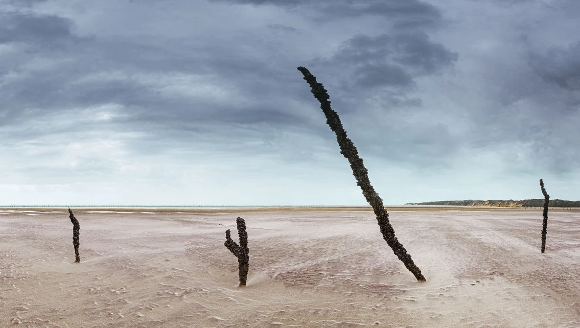 Watch Make a Stunning PANORAMA in Photoshop (from scratch!) on YouTube.