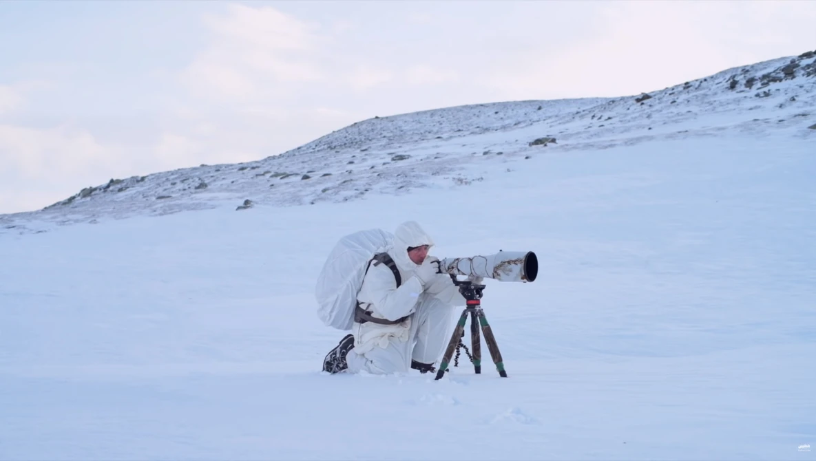 Watch 4 DAY SOLO WINTER CAMPING AND WILDLIFE PHOTOGRAPHY - off grid adventure behind the scenes in Norway on YouTube.