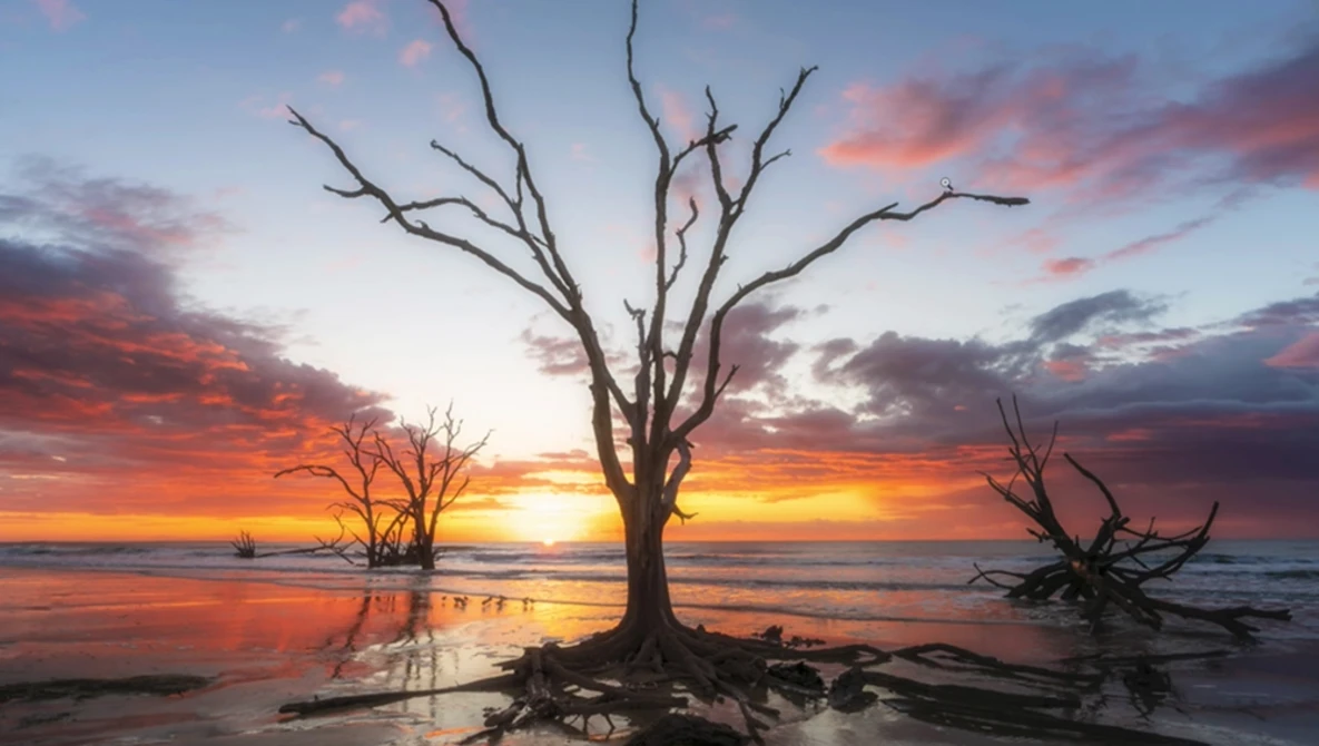 Watch How to Solve the Biggest COMPOSITION Problem in Landscape Photography on YouTube.