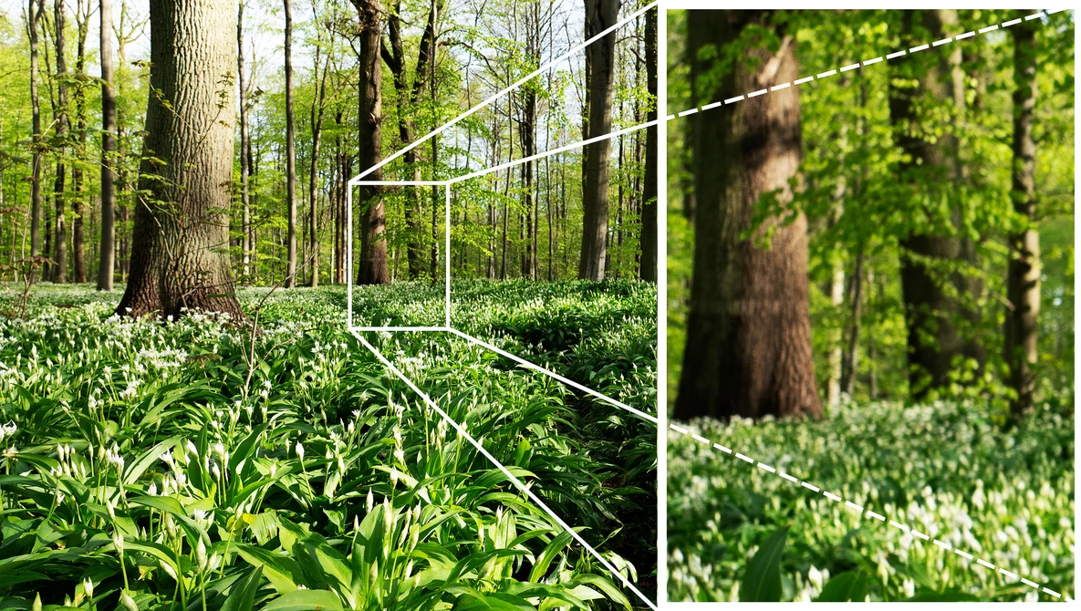 Watch How to FOCUS in Landscape Photography - Get SHARP Photos on YouTube.