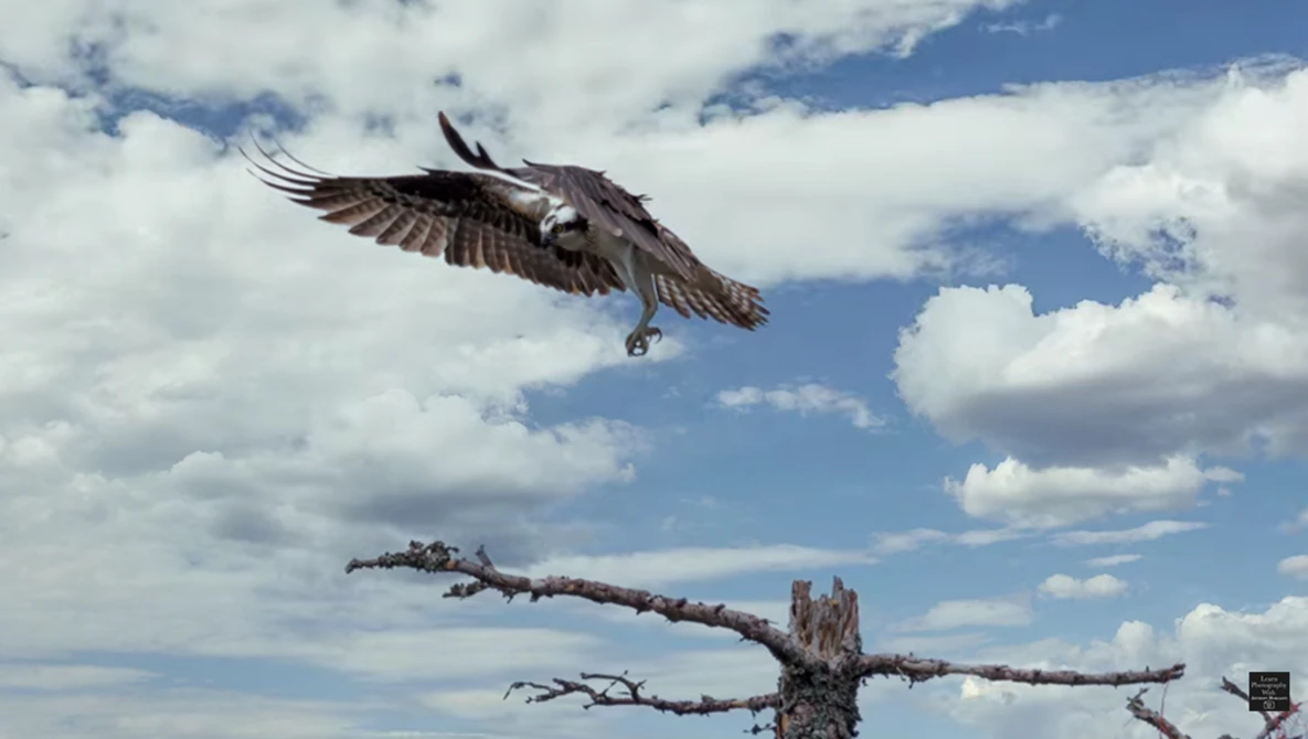 Watch How to REPLACE a SKY Using PHOTOSHOP VERSUS LUMINAR 4 on YouTube.