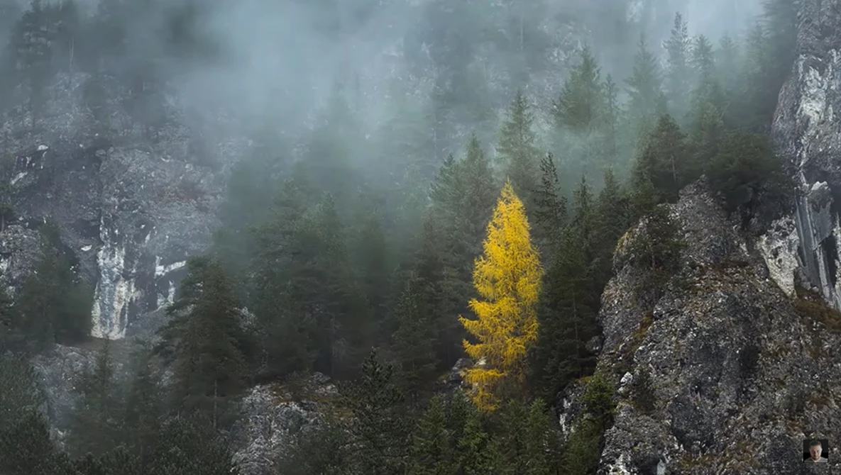 Watch My Best 12 Tips for Foggy Forest Photography plus a TON of Secondary TIPS on YouTube.