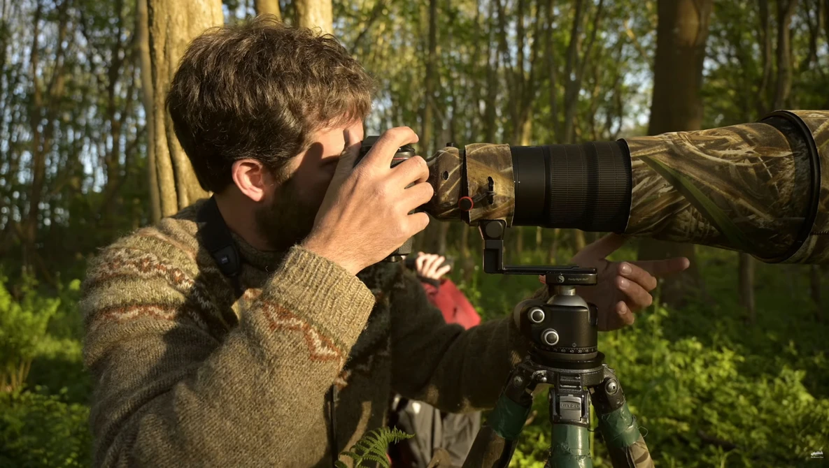 Watch When months of hard work pays off - Badgers Ep1 | On assignment, wildlife photography, woodlands, z6 on YouTube.