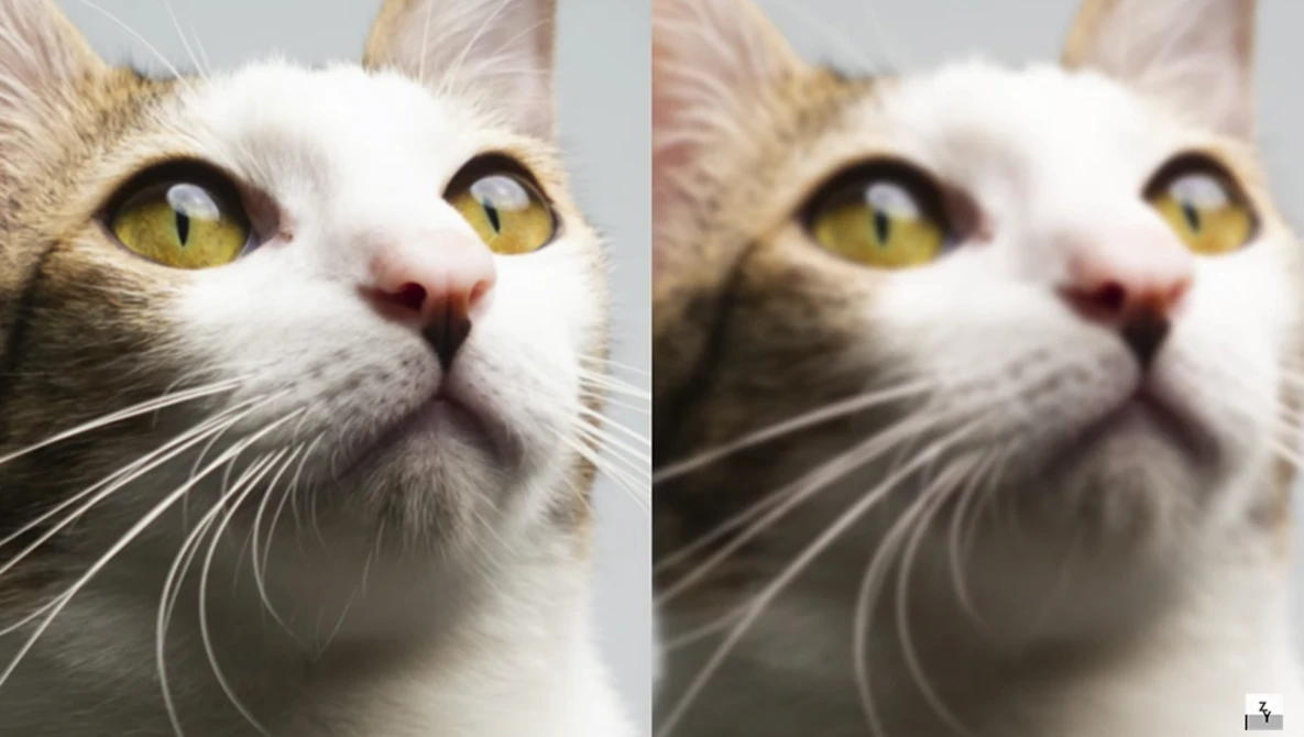 Watch Why F22 Photos Are SOFTER Than F8 - Diffraction Explained! on YouTube.
