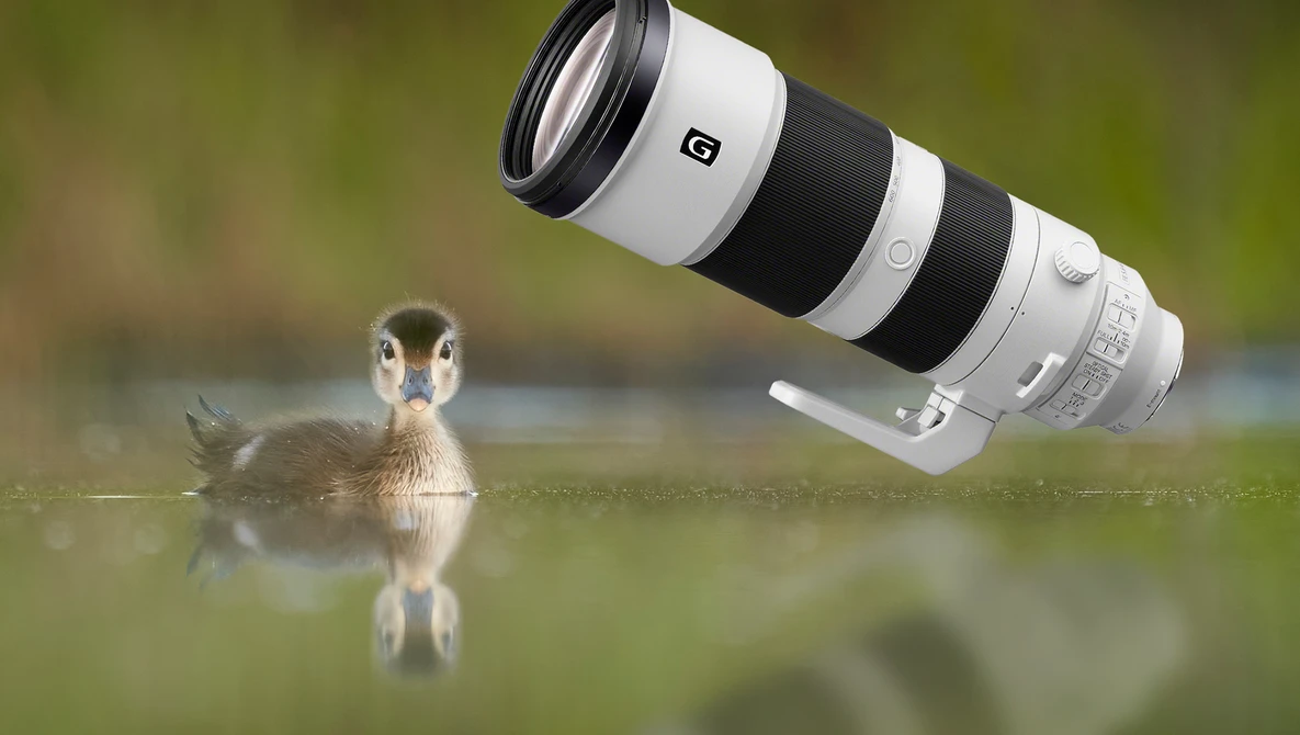 Fstoppers Long-Term Review of the Sony FE 200-600mm f/5.6-6.3 G