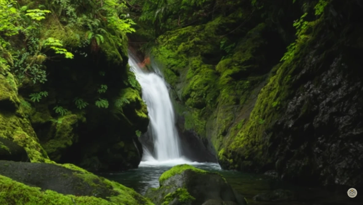 Watch How to Focus Stack Quick and easy with PHOTOSHOP on YouTube.