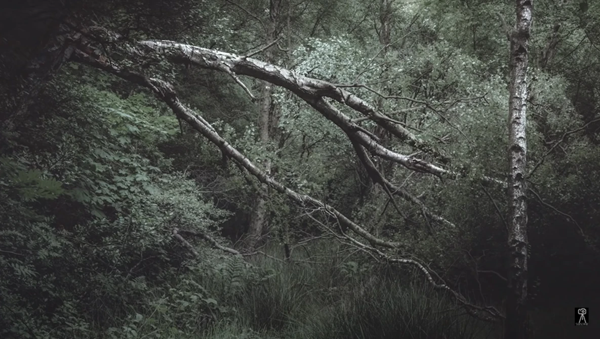 Watch Fujifilm X-T4 Real World Review - Landscape Photography Edition on YouTube.