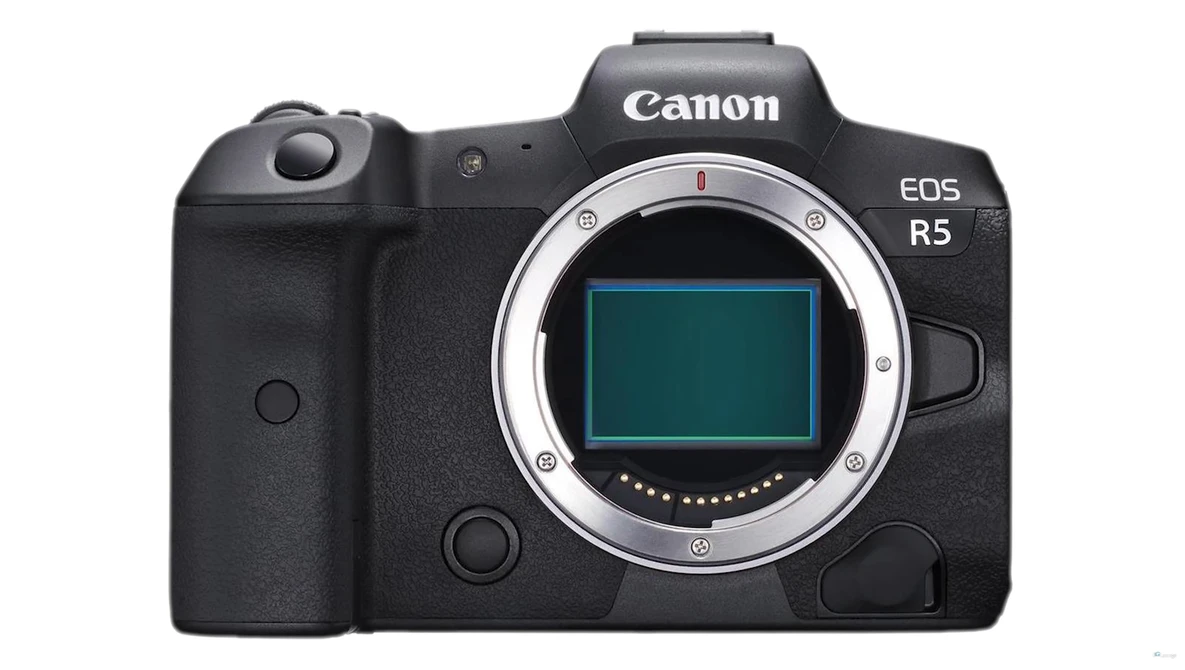 Watch Canon 5D Mark IV vs. EOS R vs. R5/6: Which One Should You Buy? on YouTube.