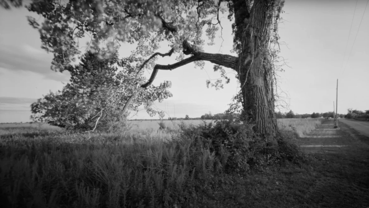 Watch 8x10" Pinhole Photography - Large Format Friday on YouTube.