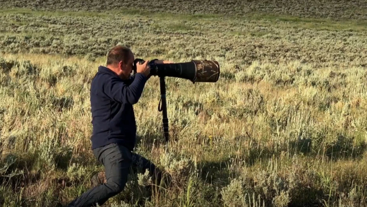 Watch D6 Review For Wildlife Photography on YouTube.