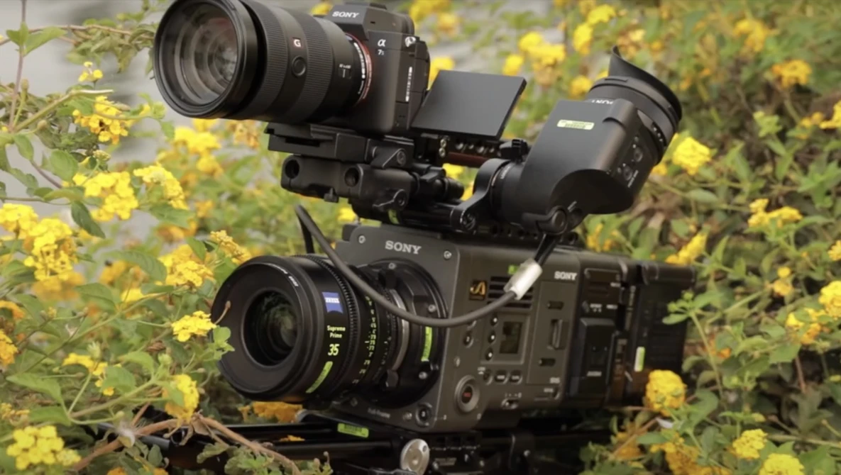 Watch SONY a7SIII vs ALEXA Mini LF vs VENICE 6K | It's never been so close! on YouTube.