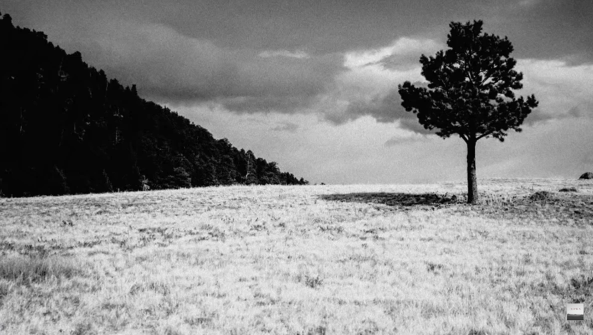 Watch How to make the most of a photography trip (from Rocky Mountain National Park, Colorado) on YouTube.