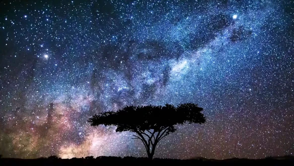 Watch How to Create Cinematic Timelapses From Home | Drew Geraci | #KandoEverywhere on YouTube.