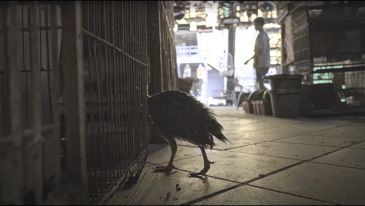Watch Hidden Jakarta - Moments in Time S2.2 on YouTube.